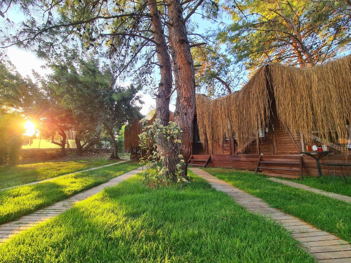 Green Pine Bungalows & Beach Luxury Concept Öludeniz Exteriör bild