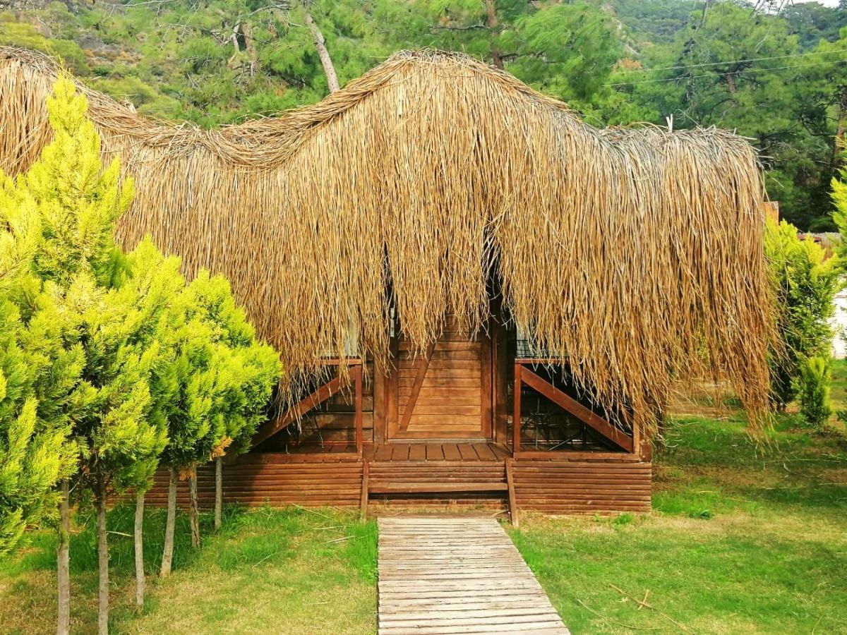 Green Pine Bungalows & Beach Luxury Concept Öludeniz Exteriör bild