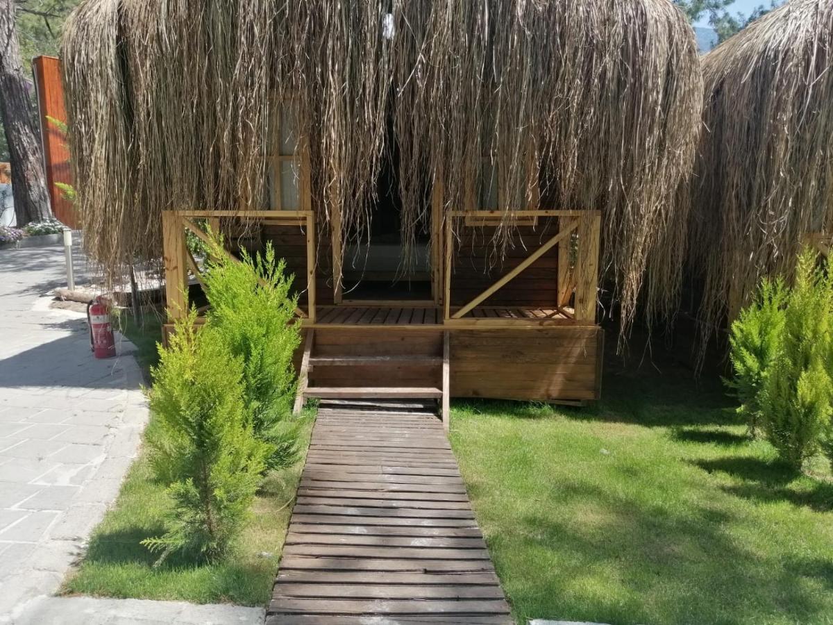 Green Pine Bungalows & Beach Luxury Concept Öludeniz Exteriör bild