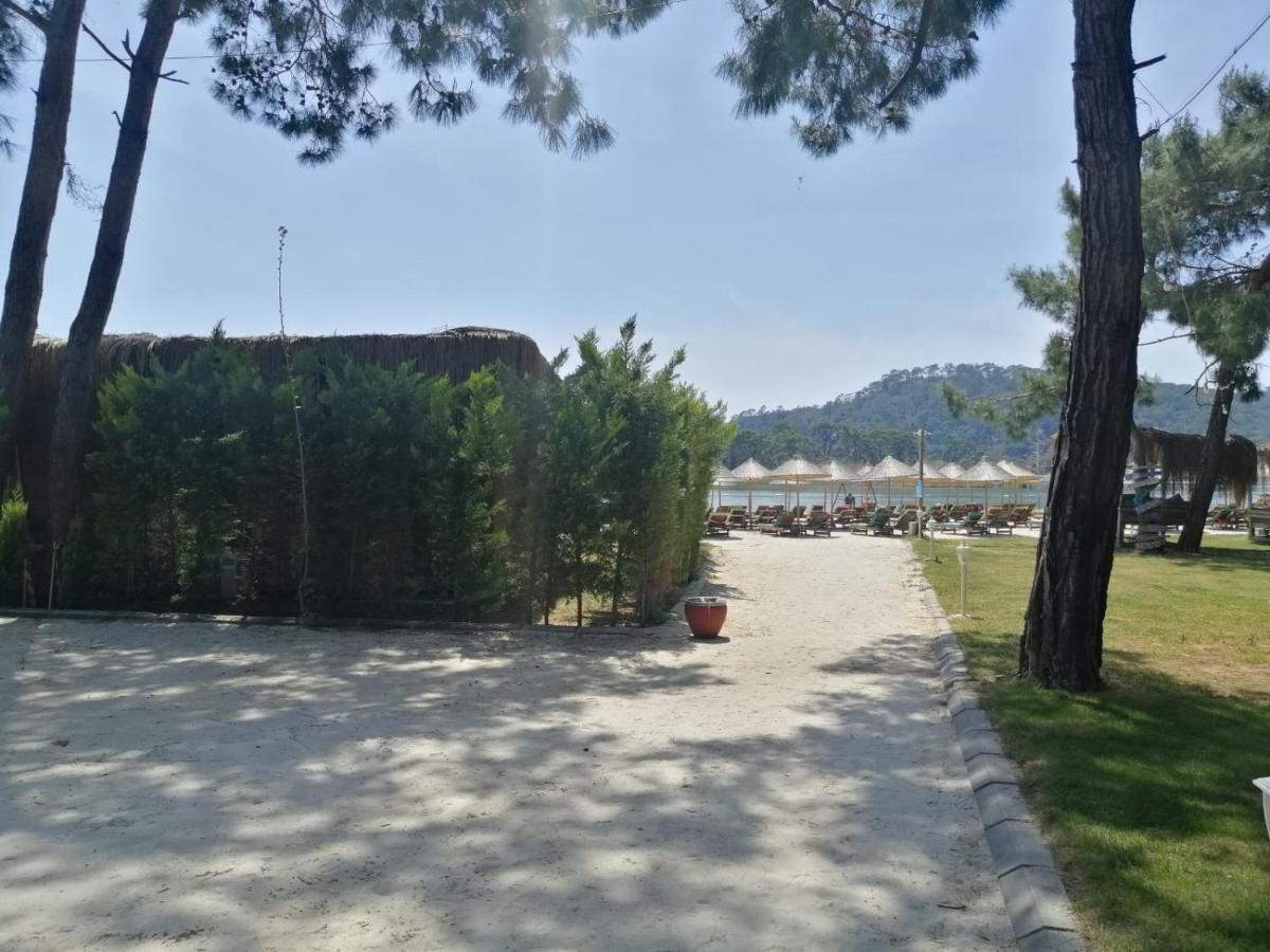 Green Pine Bungalows & Beach Luxury Concept Öludeniz Exteriör bild