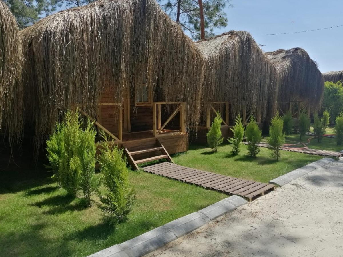 Green Pine Bungalows & Beach Luxury Concept Öludeniz Exteriör bild