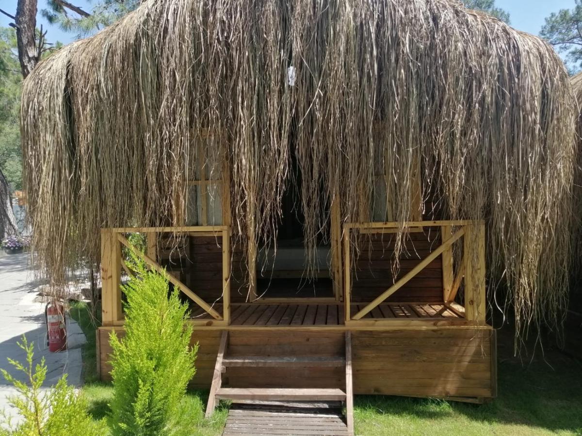 Green Pine Bungalows & Beach Luxury Concept Öludeniz Exteriör bild