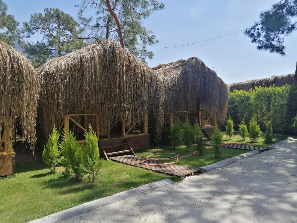 Green Pine Bungalows & Beach Luxury Concept Öludeniz Exteriör bild