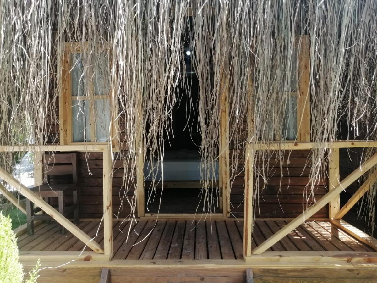 Green Pine Bungalows & Beach Luxury Concept Öludeniz Exteriör bild