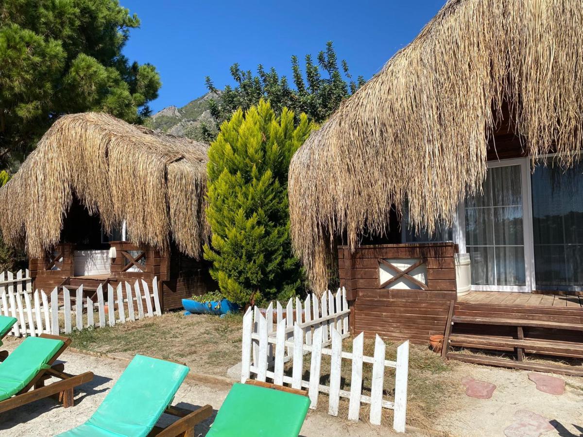 Green Pine Bungalows & Beach Luxury Concept Öludeniz Exteriör bild