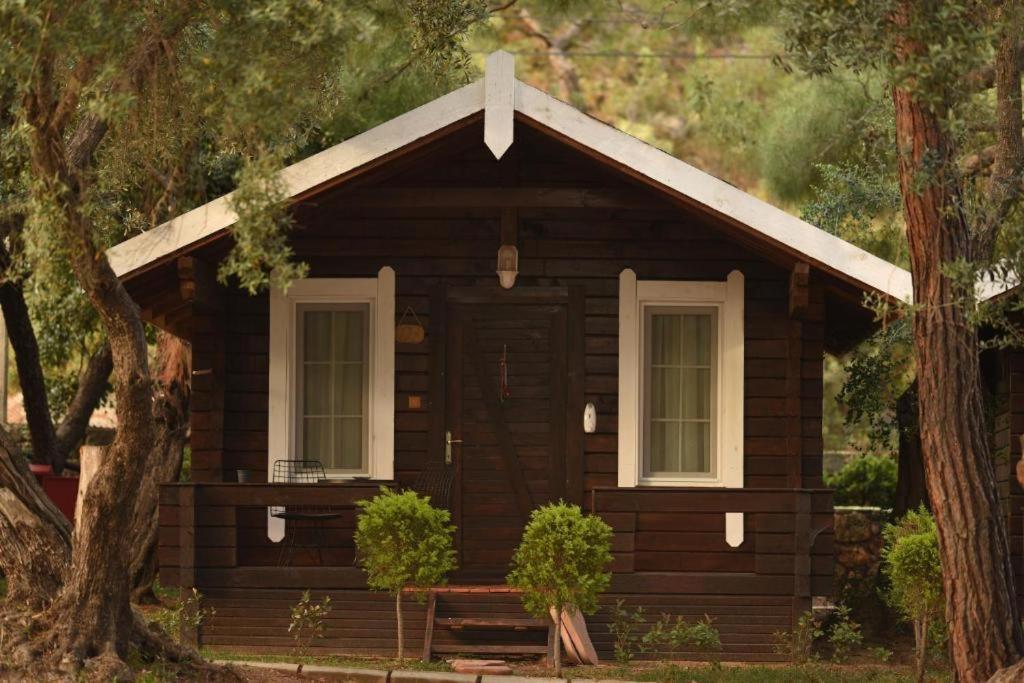 Green Pine Bungalows & Beach Luxury Concept Öludeniz Exteriör bild