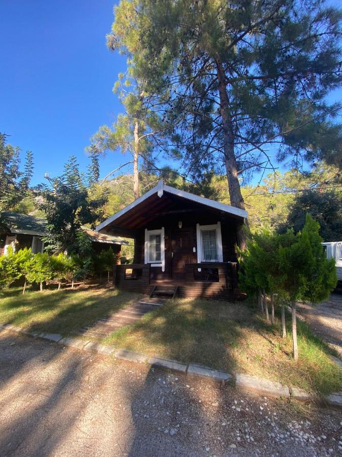 Green Pine Bungalows & Beach Luxury Concept Öludeniz Exteriör bild