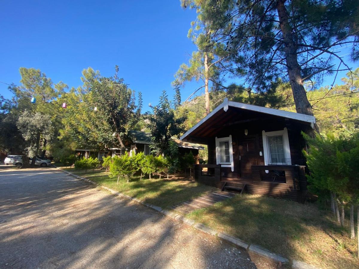 Green Pine Bungalows & Beach Luxury Concept Öludeniz Exteriör bild