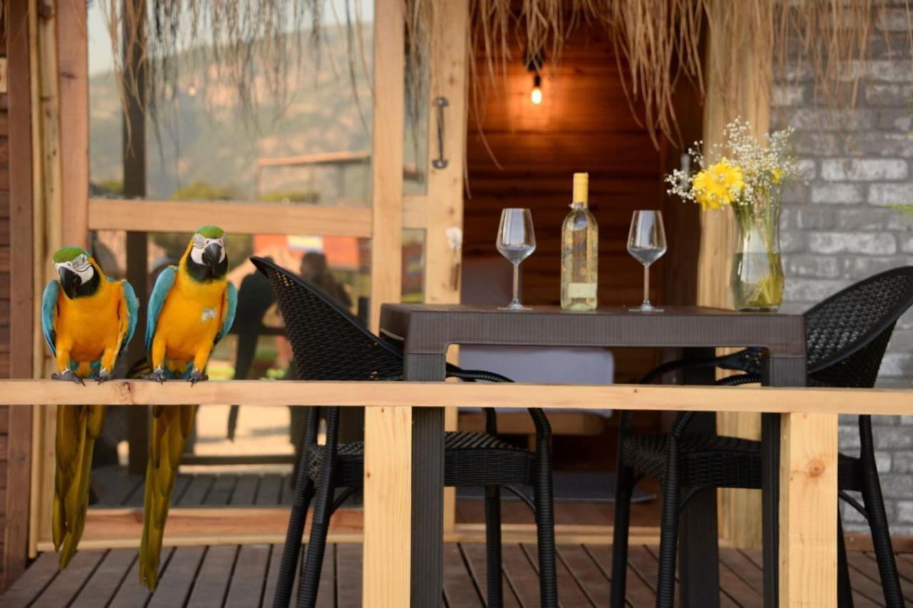 Green Pine Bungalows & Beach Luxury Concept Öludeniz Exteriör bild